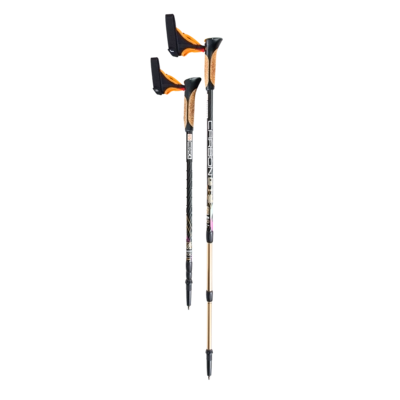 Палки для скандинавской ходьбы US MEDICA Carbon GTS 3-х секционные